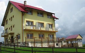 Pensiunea Pui de Urs Sirnea
